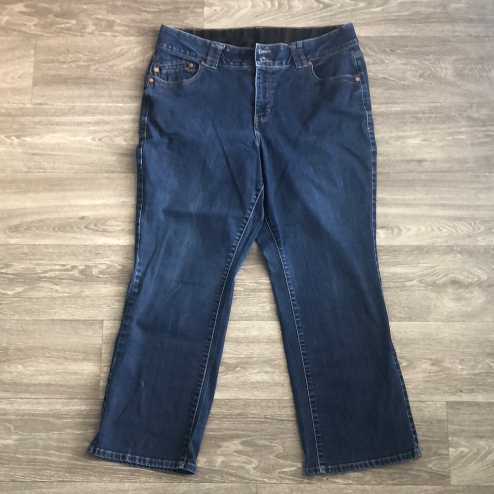 Lane Bryant Plus Size Curvy Women’s Jeans